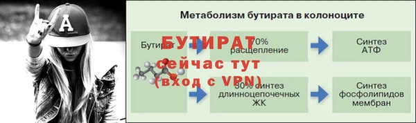 спайс Богданович